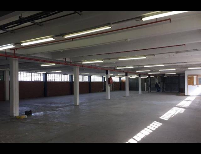 1,800M² WAREHOUSE TO LET IN MAITLAND